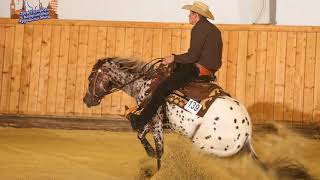 Topsail Viper Appaloosa reining stallion [upl. by Dulce210]