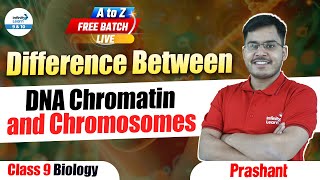 Difference Between DNA Chromatin and Chromosomes  Class 9 Biology  LIVE  InfinityLearn910 [upl. by Puduns]