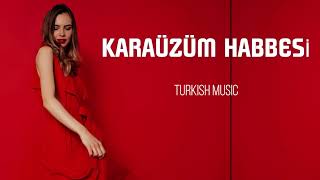 Kara Üzüm Habbesi Music [upl. by Notsirk]