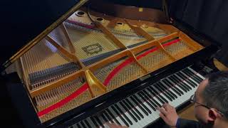 Russian Fantasy Fats Waller FALCETTI PIANOS [upl. by Ginnifer12]