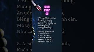 KINH PHÁP CÚ [upl. by Shirl286]