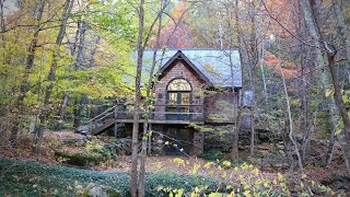 We Bought a Tiny Cottage in the Middle of the Woods [upl. by Mcginnis]