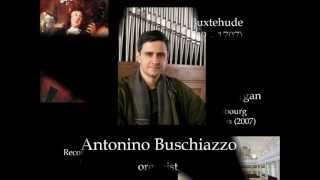 Buxtehude Toccata in d minor BuxWV 155 Antonino Buschiazzo  organ [upl. by Melmon]