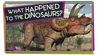 What Happened to the Dinosaurs [upl. by Rhee]