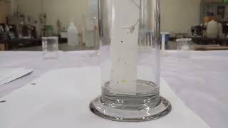 Paper chromatography Separation of mixture of Inorganic Cations [upl. by Ellenhoj403]