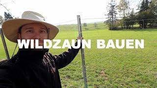 Wie du einen Wildzaun aufbaust Meine ANLEITUNG [upl. by Ecinrev182]