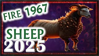 Sheep Horoscope 2025  Fire Sheep 1967  February 9 1967 to January 29 1968 [upl. by Rimaj]