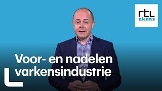 Nederland heeft een gigantische varkensvleesindustrie Wat zijn de voor en nadelen  RTL NIEUWS [upl. by Ikiv]