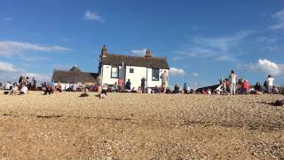 the native oysters band old neptune whitstable [upl. by Shantha]