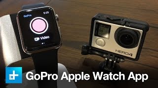 Now you can control your GoPro with your Apple Watch [upl. by Cherilynn]