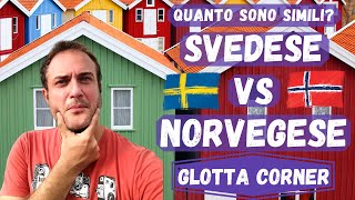 SVEDESE vs NORVEGESE Sono simili  Glotta Corner 2 [upl. by Llevert]