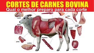 Cortes de carnes bovinas e qual o melhor preparo para cada corte [upl. by Jerol]