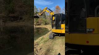 Cleaning the cattails out of this old pond with the cat 3055 mini excavator and Mongo tilt bucket [upl. by Eerahc]