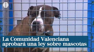 La Comunidad Valenciana aprobará la ley más moderna sobre mascotas [upl. by Orozco393]