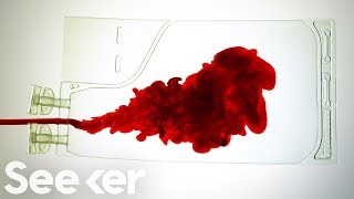 What Really Happens to Your Blood After You Donate [upl. by Nawat]