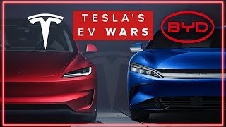 The TRUTH About Chinese BYD amp Tesla  Which Is The Best [upl. by Asirap]