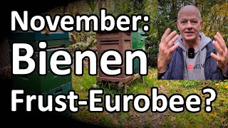 November Bienen und Frust auf Eurobee  was ist zu tun NaturRundgang [upl. by Barabas640]