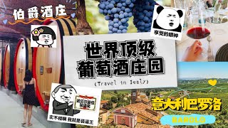 意大利顶级葡萄酒酒庄｜意大利巴罗洛伯爵酒庄｜Marchesi di Barolo｜意大利红酒｜欧洲旅行｜意大利旅行｜葡萄酒酒窖 [upl. by Lyndsey]