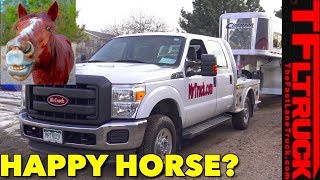 Can a Cushioned Gooseneck Hitch Make Your Horse Happy [upl. by Yleak]