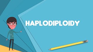 What is Haplodiploidy Explain Haplodiploidy Define Haplodiploidy Meaning of Haplodiploidy [upl. by Bridie332]