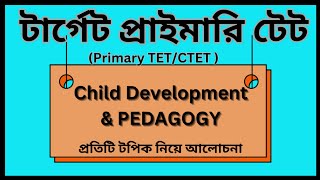 Primary TET  CTET  Child Pedagogy  globalgkzone [upl. by Gatian]