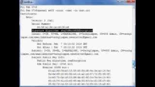 How to generate sha256 hash selfsigned certificate using openssl [upl. by Broida308]