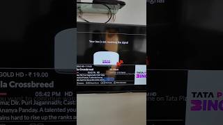 How to Your box is not receiving the signal how to Tata play Bing box trendingshorts [upl. by Astri665]