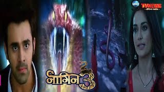 NAAGIN 315th DECEMBER 2018  Colors TV Serial  56th Episode Full Story Details REVEALED [upl. by Rajewski]