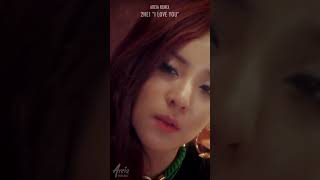 2NE1  I LOVE YOU Areia Remix 2NE1 Iloveyou remix areiaremix kpopremix kpop 투애니원 [upl. by Viv502]