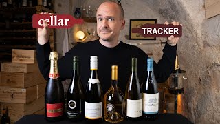 MASTER of WINE Rates Affordable CELLAR TRACKER Favorites [upl. by Haissi]