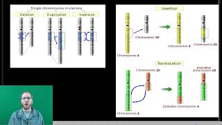 AP Bio Chromosomal Inheritance  Part 2 [upl. by Camilia377]