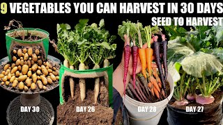 Top 9 Fast Growing Vegetables  SEED TO HARVEST IN 30 DAYS [upl. by Sal669]