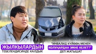 Жылкылардын ээси же айдоочубу ким күнөөлүү [upl. by Jedthus232]