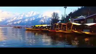 SRINAGAR  A Movie  Trailer  Kasmiri Pandits  Waseem Rizvi Films  RRD [upl. by Bank601]