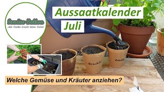 Aussaatkalender 🗓️ Juli  Diese Gemüse und Kräuter kannst du jetzt anziehen 🌱 [upl. by Elleiram]