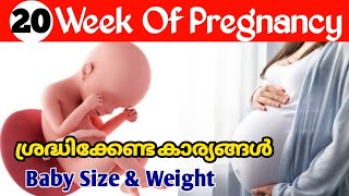 Pregnancy Week by Week Malayalam  20 Weeks Pregnant [upl. by Mehalick]