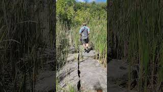 Depauw Nature Park Limestone Quarry Taken Back by Nature shorts hiking indiana nature [upl. by Lyrad]