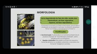 Seminário de Protistas  Myxomycetes Halison dos Santos Rosa [upl. by Cherin]