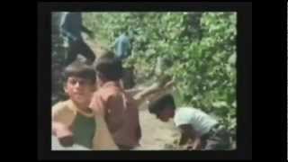 DOCUMENTAL CESAR CHAVEZ EN ESPAÑOL BBL PRODUCTIONS 1 PARTE DE 3 [upl. by Acisey155]