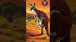 fun facts about kangarooscartoon quotKangaroo Adventures Meet the Hopping Heroesquot [upl. by Notelrahc]