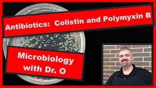 Colistin and Polymyxin B Microbiology [upl. by Romie]