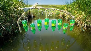 Homemade FISH TRAP in TINY Creek It Actually Worked  Primitive Technology [upl. by Loziram843]