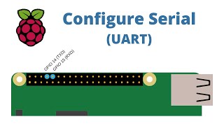 Raspberry Pi Zero W [upl. by Friedland95]