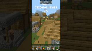 Village  Pillager outpost nearby seed in comment THANKS FOR 10 SUBS 🎉 credit to  dcplayz1 [upl. by Aniat]