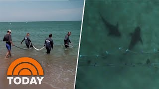 Inside look at new technology that aims to prevent shark attacks [upl. by Arinaj]