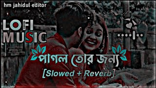 Pagol Tor Jonno  পাগল তোর জন্য  Slowed Reverb Bangla Song  Lofi Song [upl. by Ayek964]