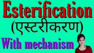 Esterification with mechanism bsc 2nd year organic chemistry notes knowledge adda esters [upl. by Johann732]