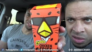 Eating Burger Kings Cheetos Chicken Fries hodgetwins [upl. by Irina]