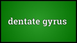 Dentate gyrus Meaning [upl. by Cain]