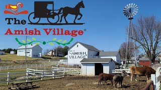 THE AMISH VILLAGE Walkthrough Ronks Pennsylvania [upl. by Adnahsat]